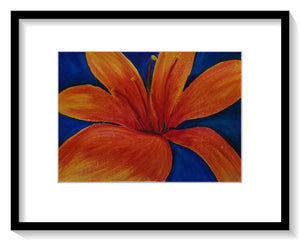 Orange Lily - Print