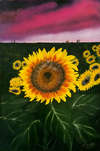 The One - Sunflower Study 7